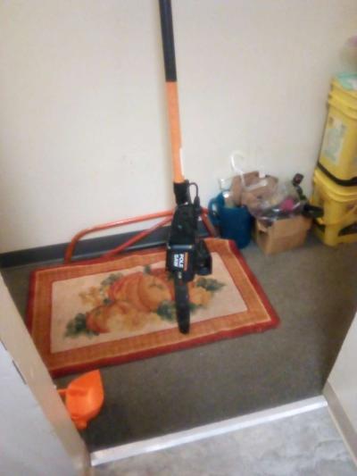 Remington pole saw - Thumbnail 2