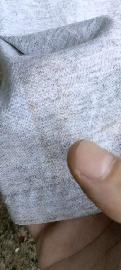 Pitbull Tshirt - Thumbnail 6