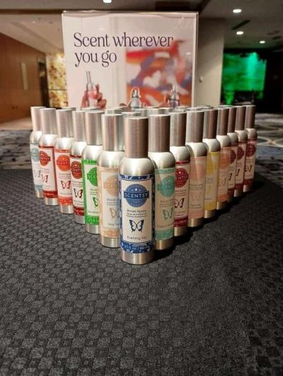 Scentsy with Siena - Thumbnail 6