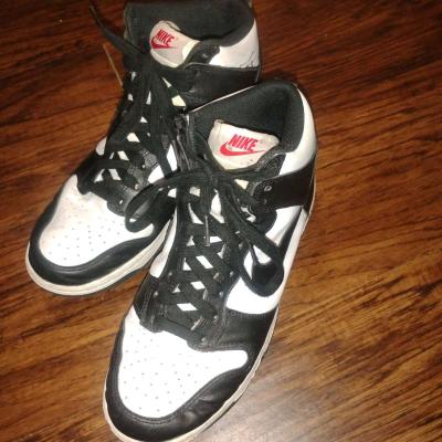 Limited Edition Nike SB Dunk High Panda - Thumbnail 1