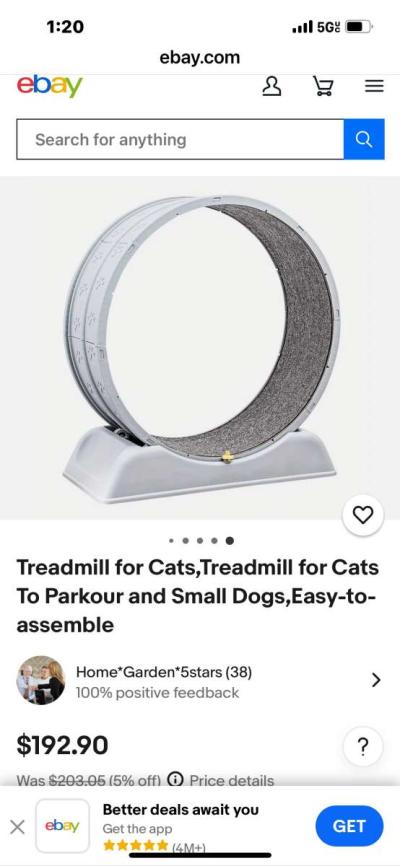 Cat Treadmill - Thumbnail 4
