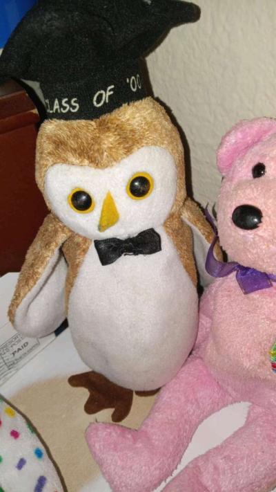 Rare and Valuable Beany Babies - Thumbnail 5