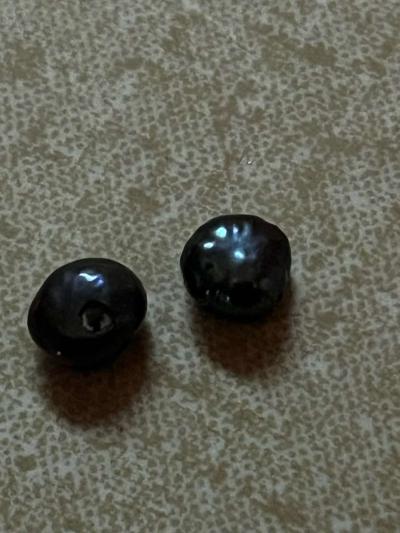 black pearls - Spanaway, Washington