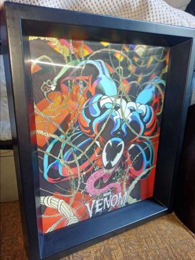 Venom frame - Cypress, Texas