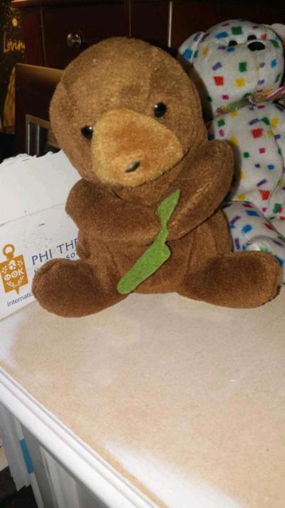 Rare and Valuable Beany Babies - Thumbnail 6