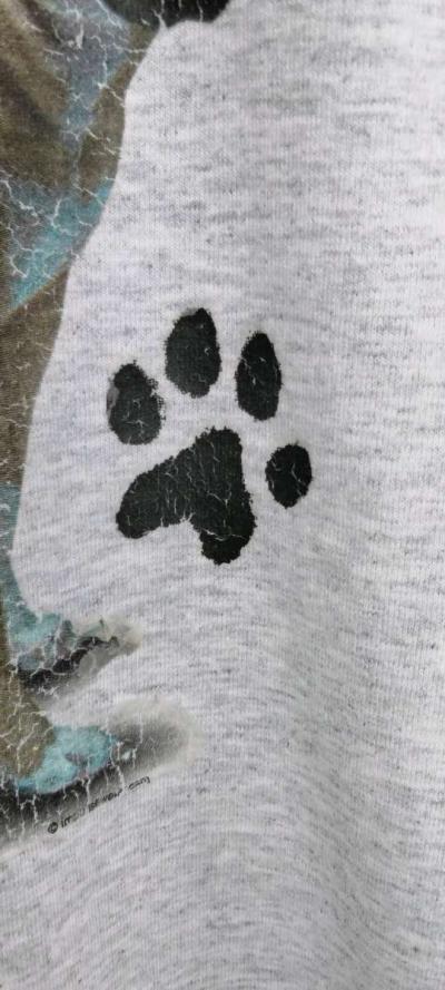 Pitbull Tshirt - Thumbnail 3