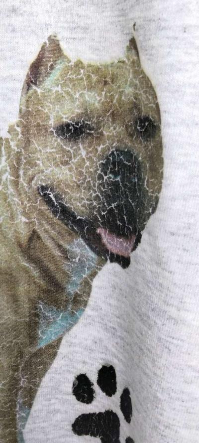 Pitbull Tshirt - Thumbnail 2