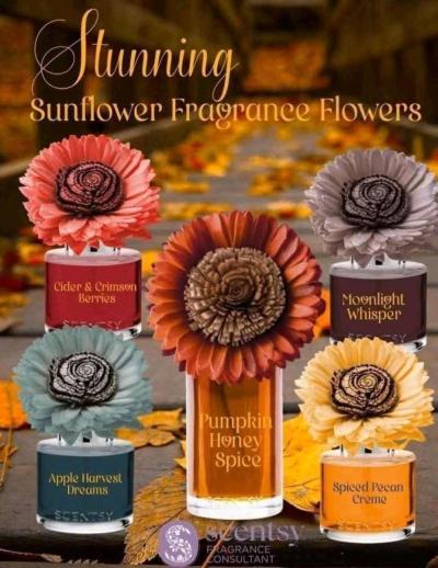 Scentsy with Siena - Thumbnail 1