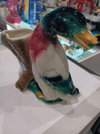 Royal Copley Duck - Boynton Beach, Florida