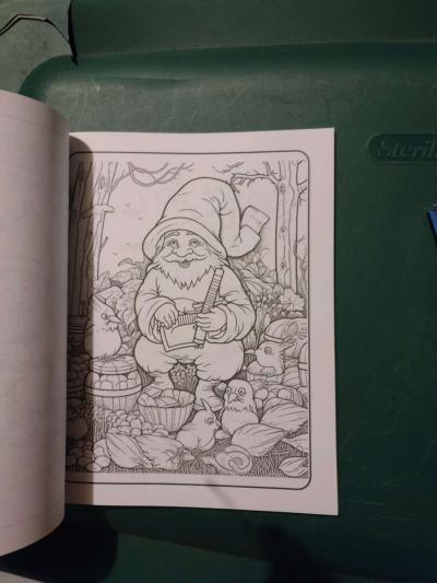 Autumn Gnomes Coloring book - Thumbnail 2
