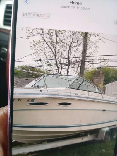 sea ray Bayliner 24 - Thumbnail 2