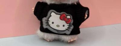 help kitty labubu - Thumbnail 2