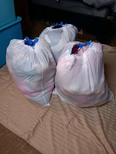 Stuff Animals - Thumbnail 5