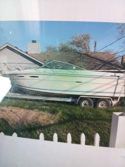 sea ray Bayliner 24 - Thumbnail 5