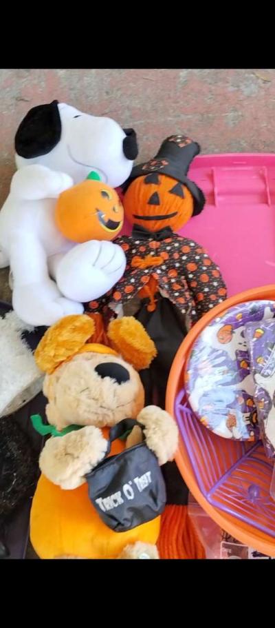 a whole tote full of Halloween and fall  items - Thumbnail 5