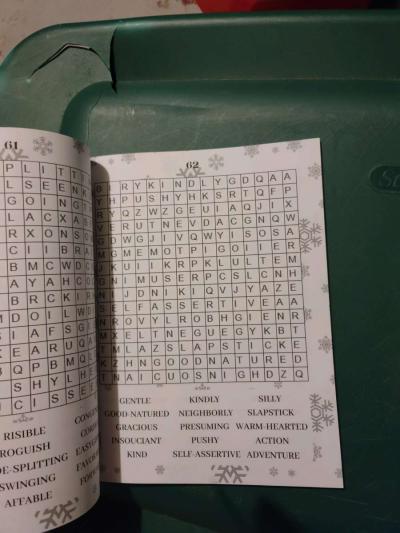 Large Word Search puzzles book - Thumbnail 2