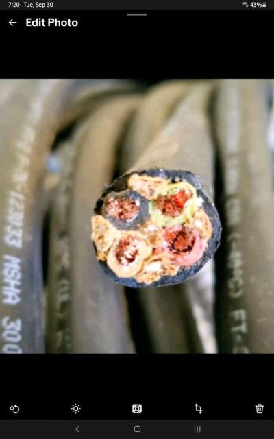 Carol C4 10awg 300volt Electrical Cable 55ft - Thumbnail 4