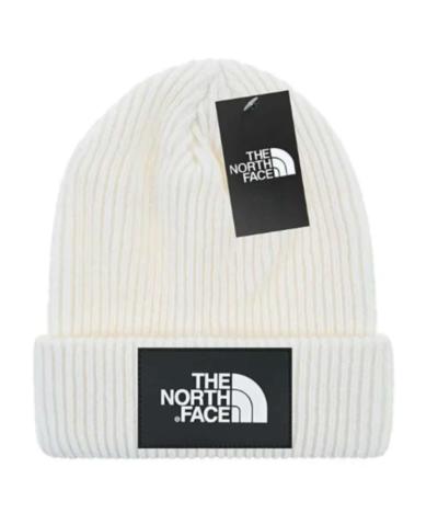 The North Face Winter Beanie Hat - Thumbnail 1