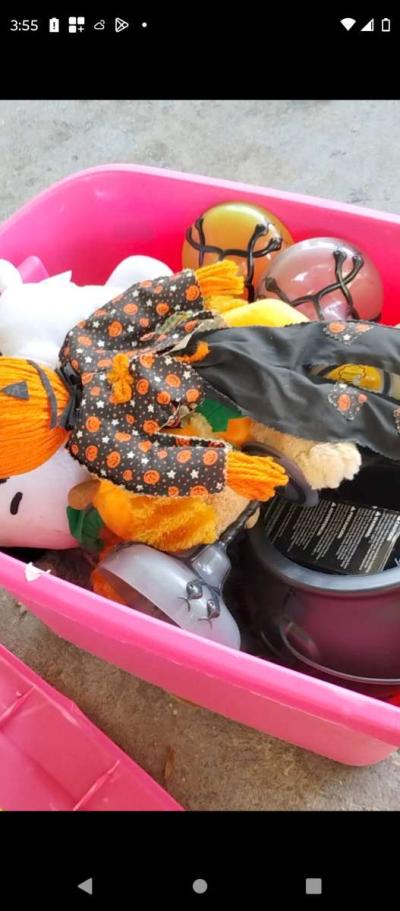 a whole tote full of Halloween and fall  items - Thumbnail 6