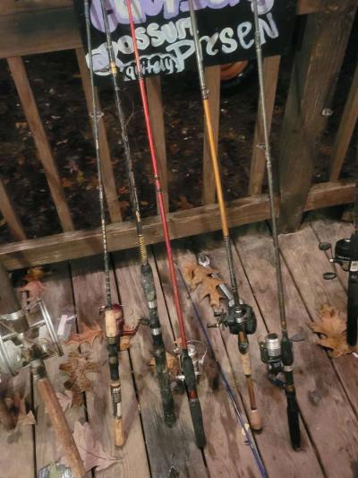 fishing rods and reels