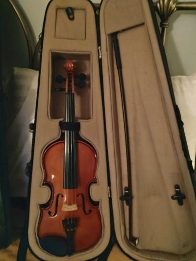 violins Cecilia an Palitino - Thumbnail 3