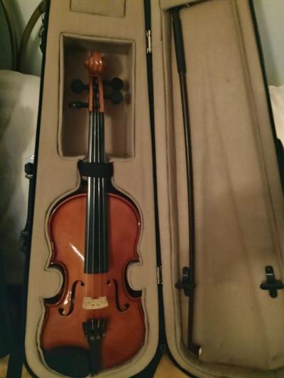 violins Cecilia an Palitino - Thumbnail 4