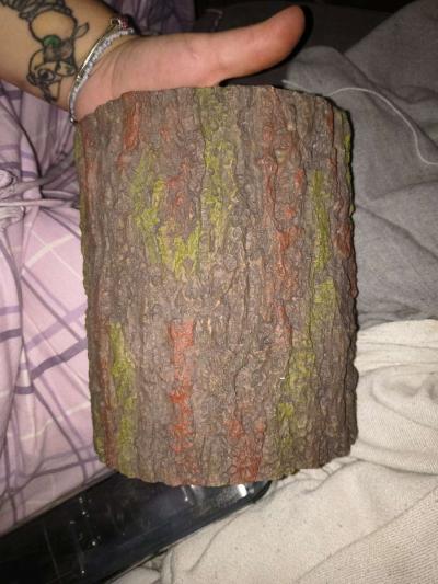 fish tank - Thumbnail 2