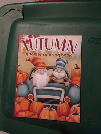 Autumn Gnomes Coloring book - Thumbnail 1