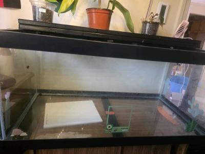 40 Gallon Reptile Tank - Thumbnail 2