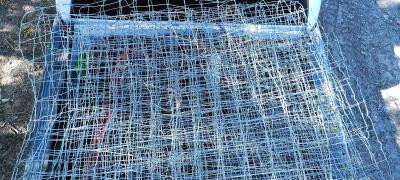 Fencing - Thumbnail 4