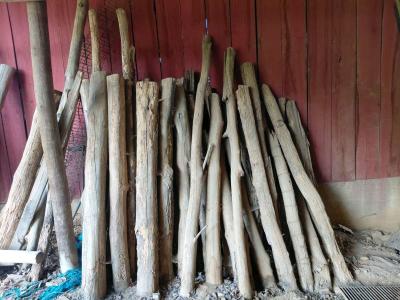 wooden fence posts