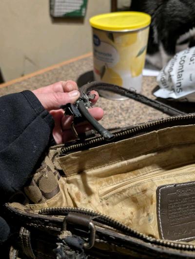 Coach bag style 1491 - Thumbnail 4