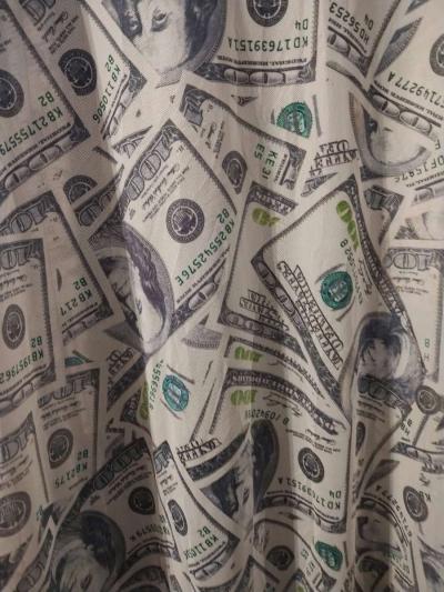 100 Hundred Dollar Bill Bathrobe - Thumbnail 6