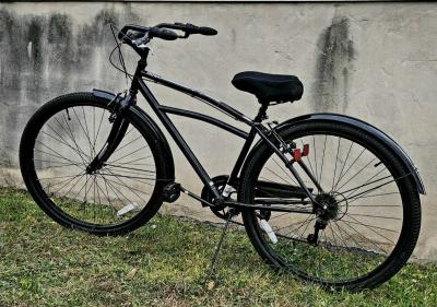 Schwinn midway cruiser - Thumbnail 3