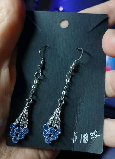 Blue Shooting Star Hookstyle Earrings - Newport News, Virginia