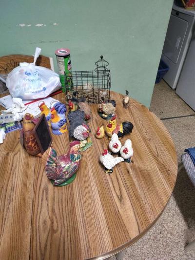 chickens and roosters - Thumbnail 5