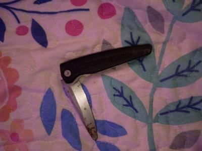 kershaw Victoronix and Chinese pen knife - Thumbnail 5