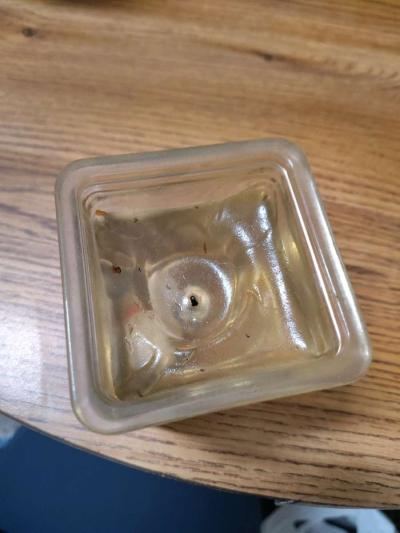 clear jelly candle with small white animals in the candle - Thumbnail 3