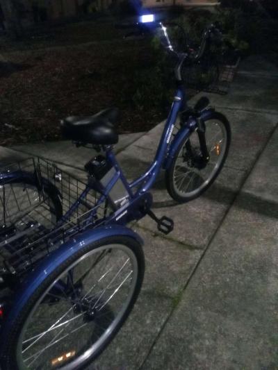 Electric Trike - Thumbnail 2