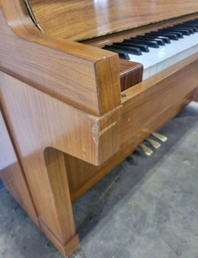 Solid Wood 52 Yamaha W101 - Thumbnail 2