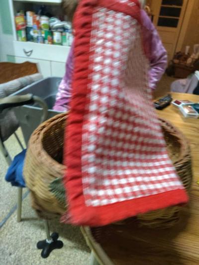 A Tisket by a Tisket Just A Basket With Red And White Checke - Thumbnail 4