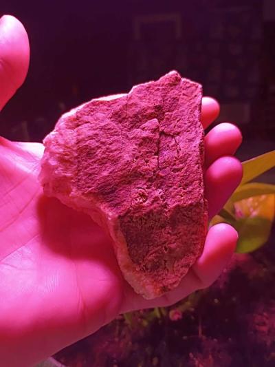 paliolithic native American stone axe heads - Thumbnail 6