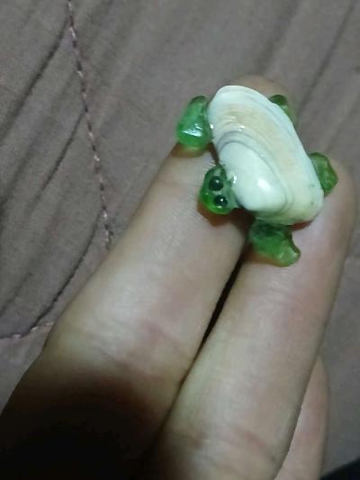 Handmade turtleM5 - Thumbnail 2