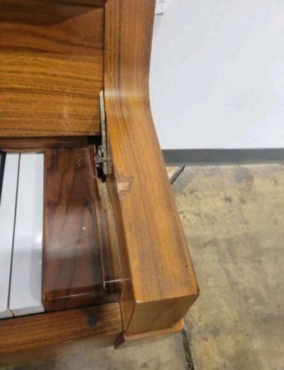 Solid Wood 52 Yamaha W101 - Thumbnail 3