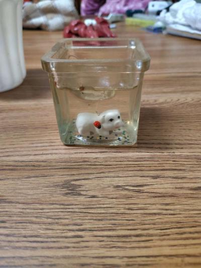 clear jelly candle with small white animals in the candle - Thumbnail 1