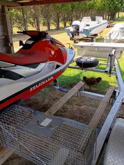 a little bit of everything - Thumbnail 4