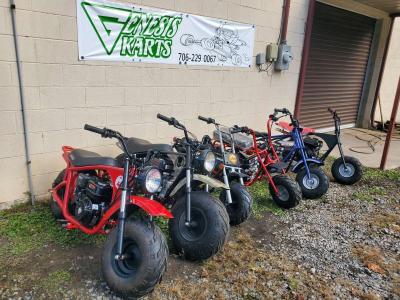 Go karts and Minibikes - Thumbnail 1