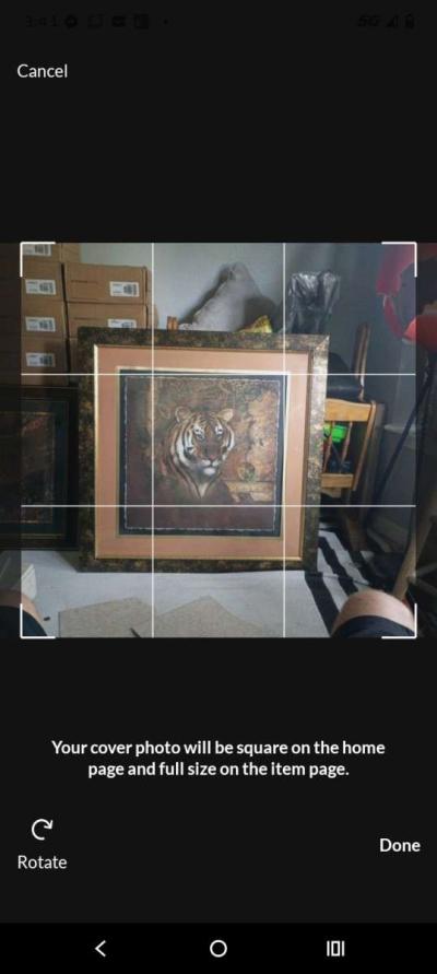 Tiger and leopard painting - Thumbnail 5