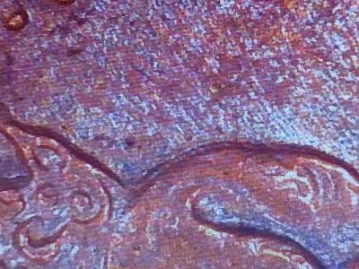 1967 100 year anniversary 1c Canada coin with ddo errors - Thumbnail 5