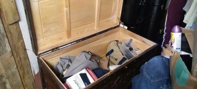 HandCarved Camphorwood Chest  Antique Oriental Style - Thumbnail 3